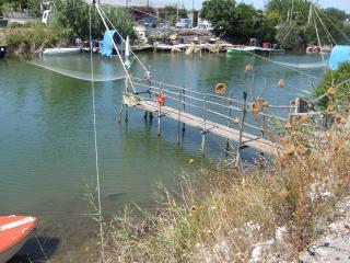 Immagine allegata alla scheda. Per averne una descrizione leggere i dettagli più in basso.